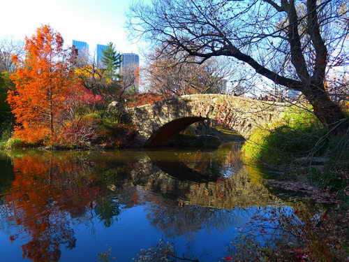 NYC_2012-11-22 13-20-00_P1070531